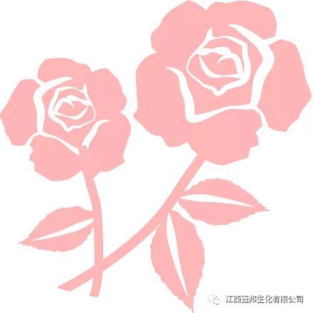 抗击疫情，江西鑫邦生化公司积极履行社会责任