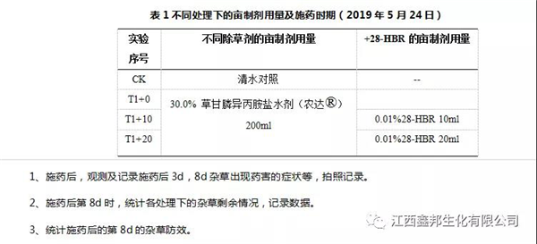 28-高芸苔素内酯复配草甘膦异丙胺盐的增效除草试验
